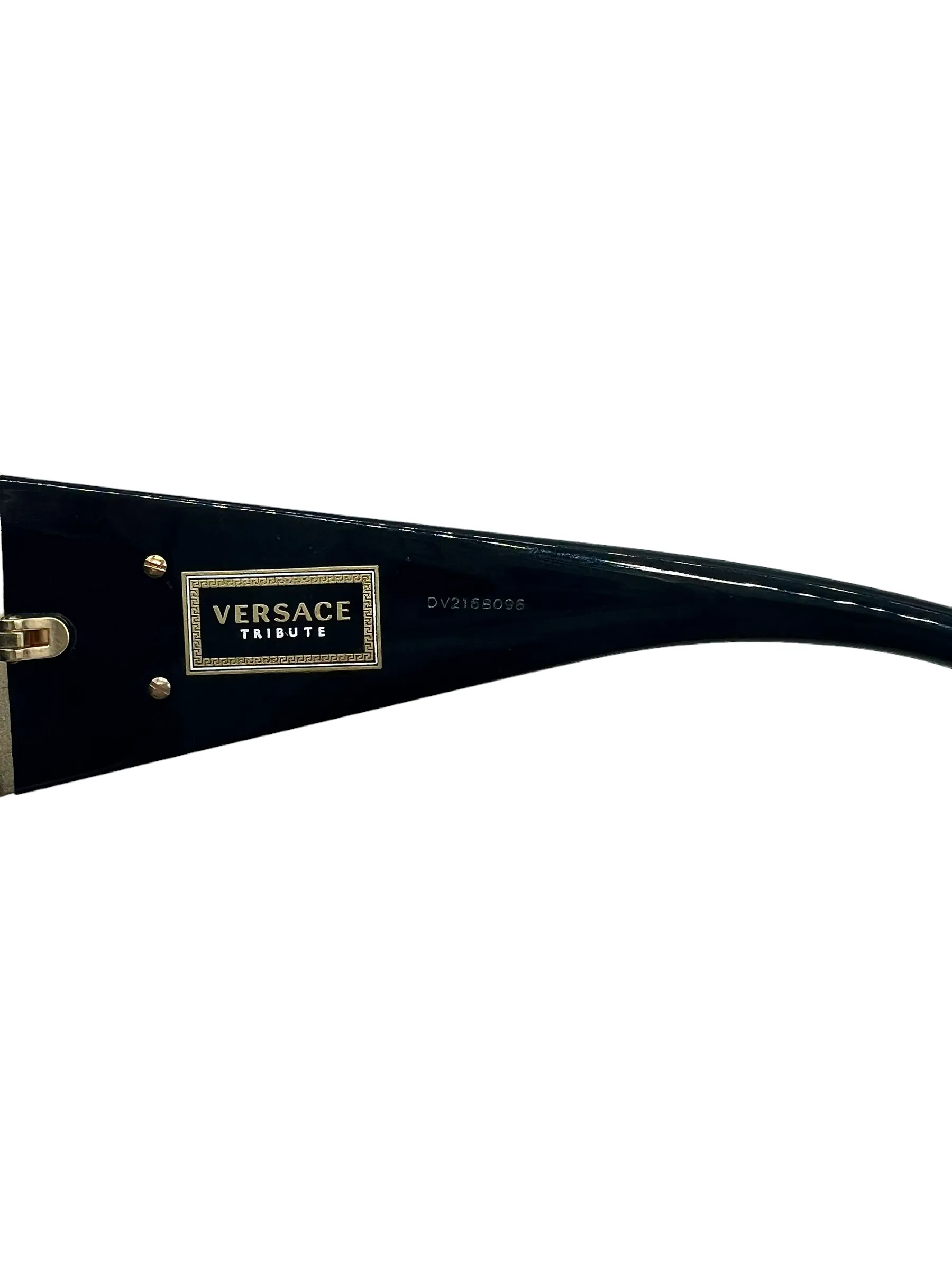 Versace Black & Gold Tribute Shield MOD 2197 Sunglasses